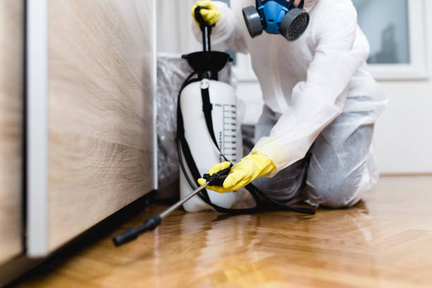 Best Emergency Pest Control  in Sedgwick, KS