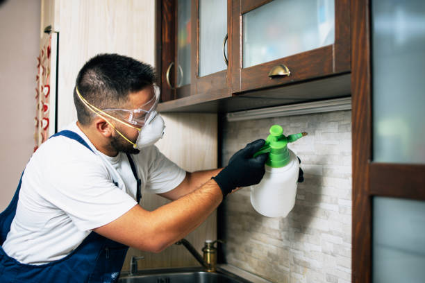 Best Local Pest Control Services  in Sedgwick, KS