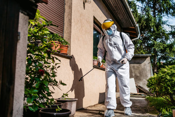 Flea Control Services in Sedgwick, KS