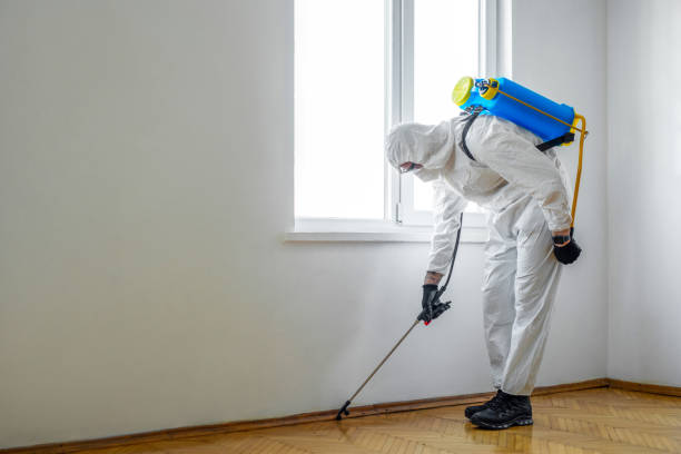Best Cockroach Control Services  in Sedgwick, KS