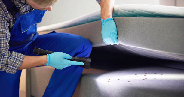 Best Cockroach Control Services  in Sedgwick, KS