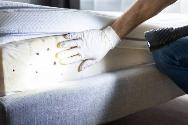 Best Pest Control Near Me  in Sedgwick, KS