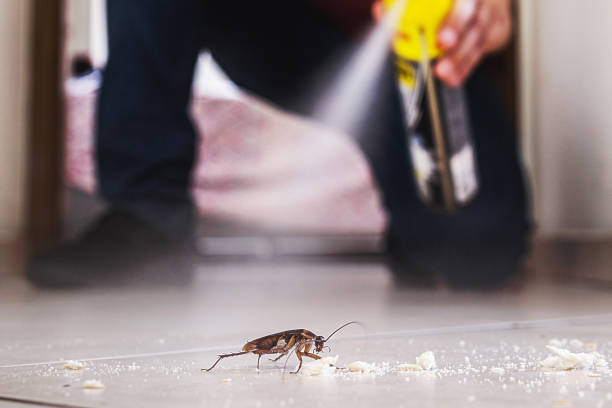 Best Commercial Pest Control Services  in Sedgwick, KS