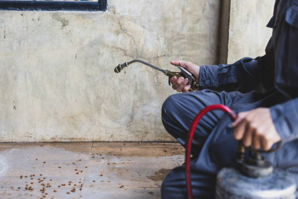 Best Pest Removal Services  in Sedgwick, KS